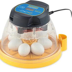 Buy Brisnea Mini Advance Egg Incubator