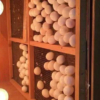 Toucan Eggs